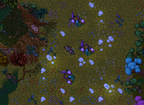Some things in Feyrist may change when night falls across the land