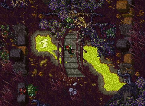 Visit colourful areas and fight creepy-crawlies