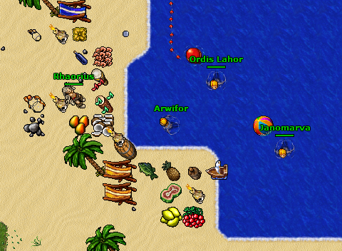Refresh yourself with a nice swim in the Proots OT ocean